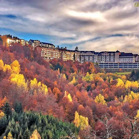 Milmari N 20 דירה קופאוניק